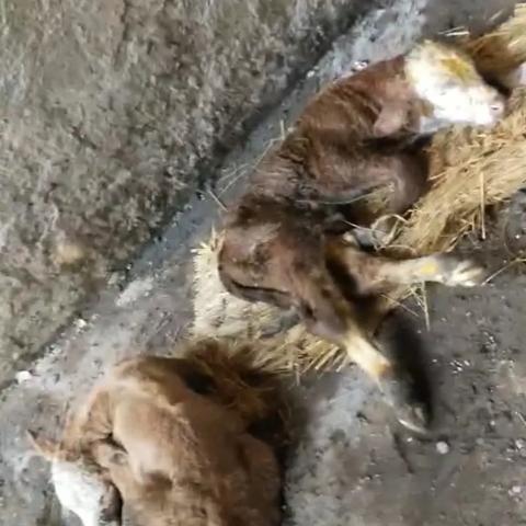 桂林彩票小小度相关长尾关键词有哪些