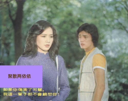 聚散依依为探索打一个正确生肖，逻辑推理解析