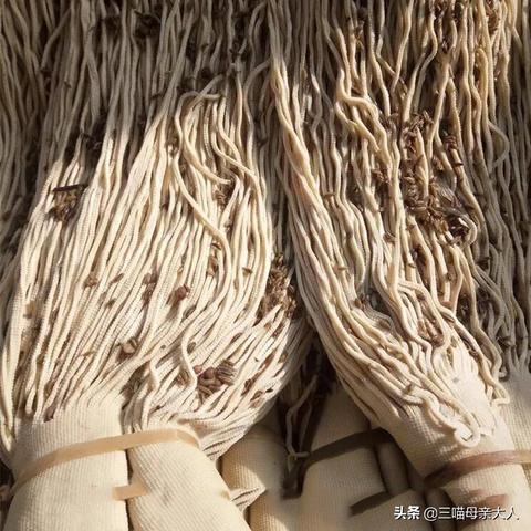 保定市有哪些水果特产卖