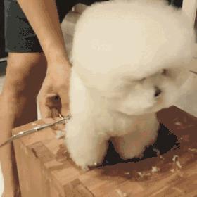 [苏州糯米团子]相关长尾关键词有哪些