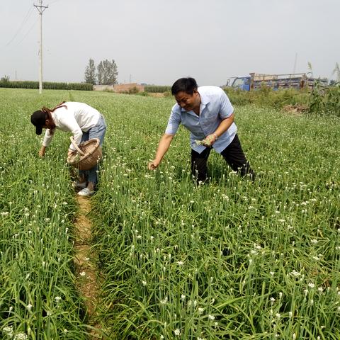 桂林万亩柿园在哪里相关长尾关键词有哪些