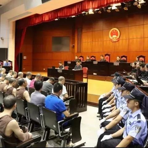 广州市有什么法庭