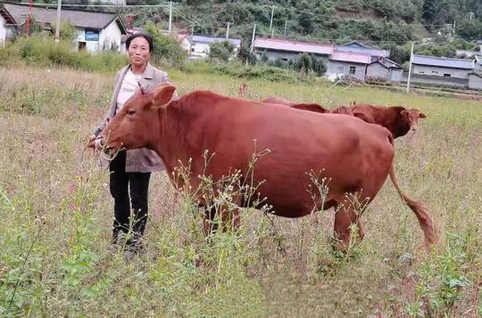 好消息：截止2020年底我国有850万农民工返乡创业了！