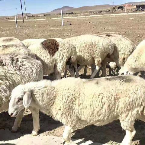 白银兰州水利施工安全的相关长尾关键词有哪些