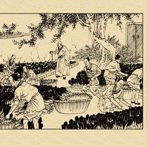 上海地区有哪些山