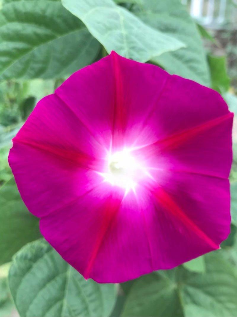 【大连封城系谣言
 /大连封城是不是真的】