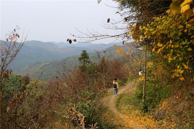 安徽疫情最新情况数据
 /安徽疫情最新情况数据图