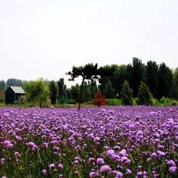 保定市附近温泉旅游的长尾关键词有哪些