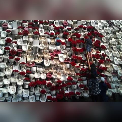 福建师大附中表白墙的相关长尾关键词有哪些