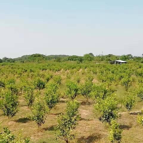 佛山市闲置二手物品转让的长尾关键词有哪些