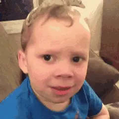 用手机在网上怎么赚钱 怎么在网上用手机赚钱