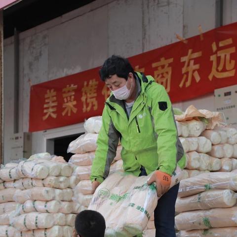 武汉市什么时候种植土豆
