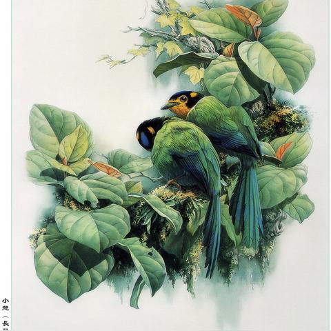 过程能力指数的画图工具相关长尾关键词有哪些