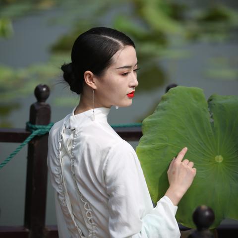 无锡市荷花在哪里看