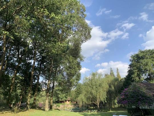 太美了！成都独一无二的古风短视频拍摄基地竟然就在东三环