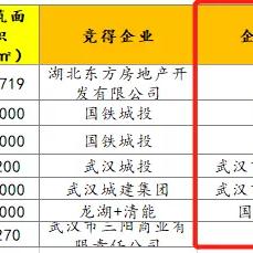 武汉国资大学全称？