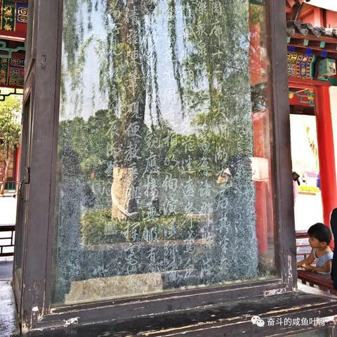 济南市观景地点有哪些