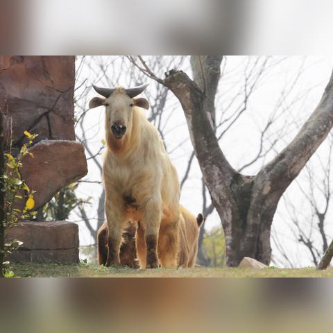 南通市动物园在哪里