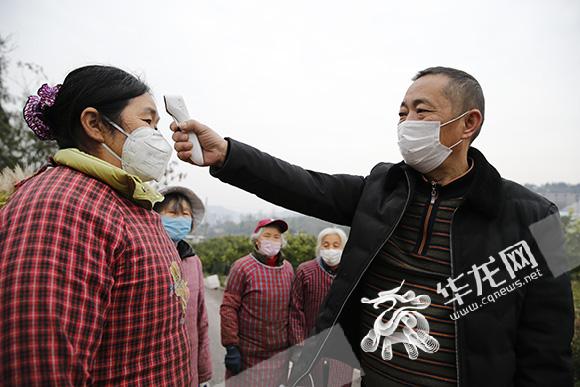 柑橘種植手藝大全視頻_你們買的生果