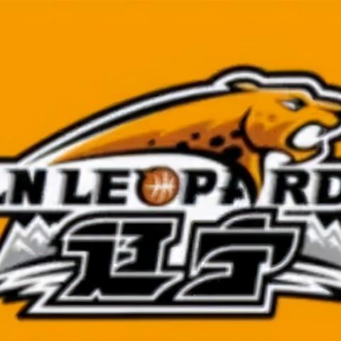 沈阳哪里卖壁纸相关长尾关键词有哪些