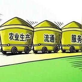 seo和sem前途-sem对seo影响