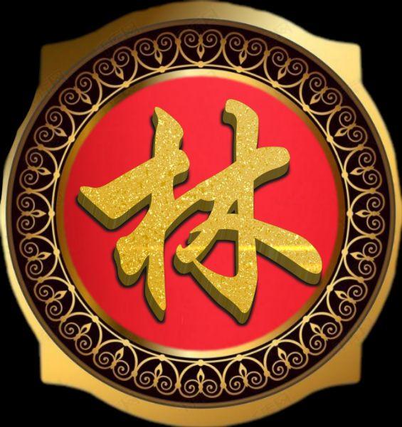 宝宝起名姓氏林怎么取(姓叶取什么名字好听)