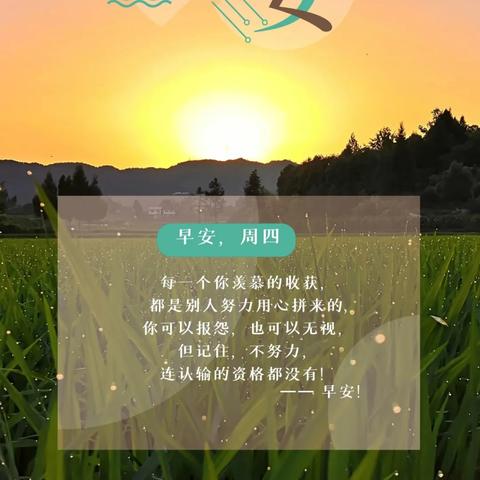 今日生肖运势7月16日(今日生肖运势2021年7月13日)