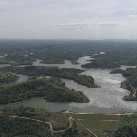 广西南宁新农合怎么网上缴费？