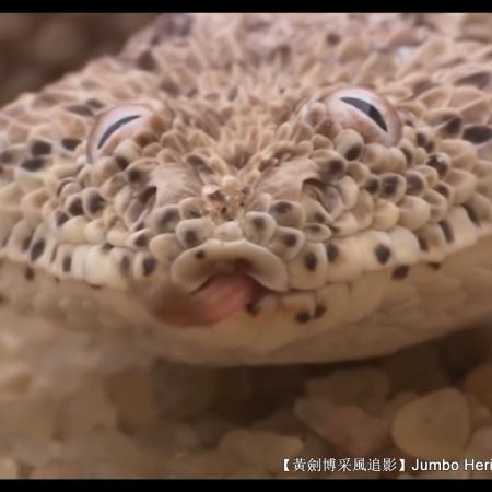 为什么寒流有沙漠
