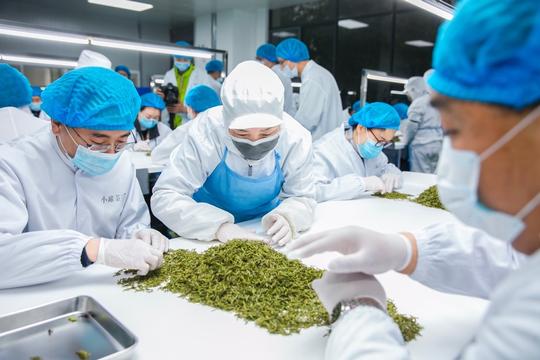 杜国楹谈创业：从经验与创新中走出自己的路
