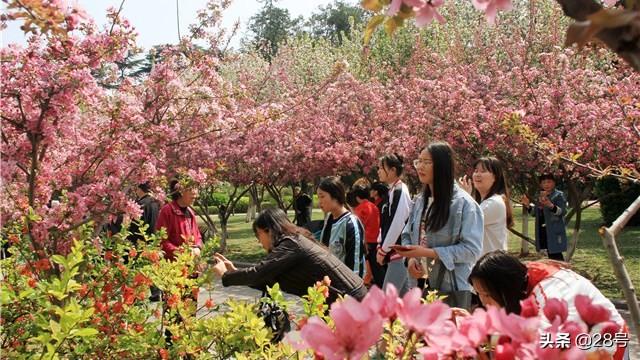 【郑州发布2022年79号通告
,郑州2021年7号通告】-图1 【郑州发布2022年79号通告
,郑州2021年7号通告】-图1