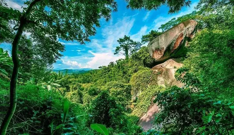 淘宝双十一训练营在哪 淘宝双十一怎么领券