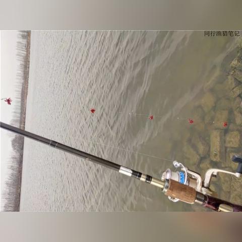 济南市哪里钓鱼好