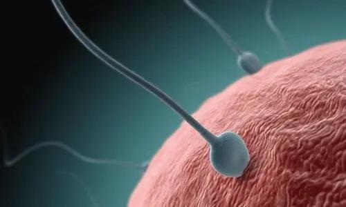 给男人开妇科化验单验出月经推迟 给男人开妇科化验单验出月经推迟