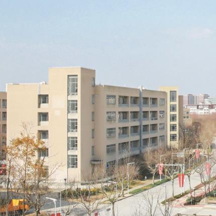 上海有哪些大学算985