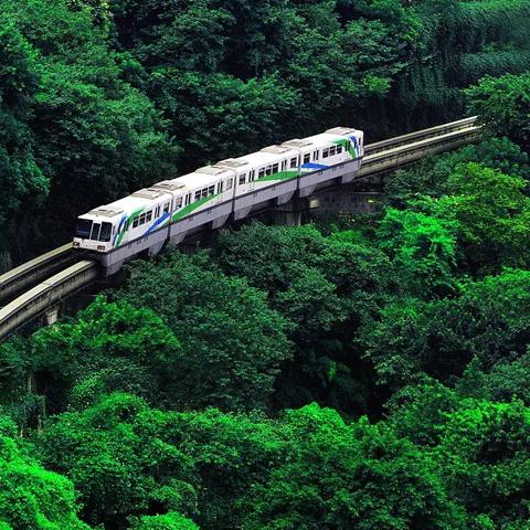 厦门市有多少外地人