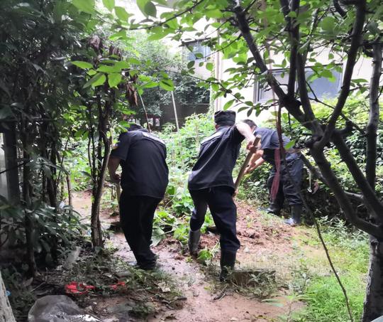新湖社区开展菜地集中整治行动