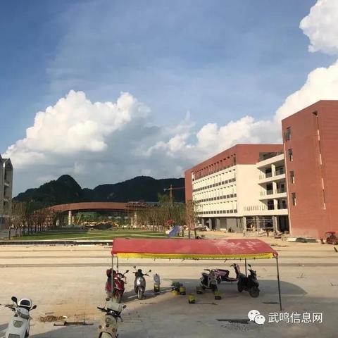 广西大学在南宁哪个区？