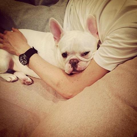 广州宠爱宠物用品有限公司招聘相关长尾关键词有哪些