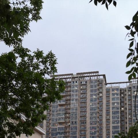 哈尔滨珠江骏景相关长尾关键词有哪些