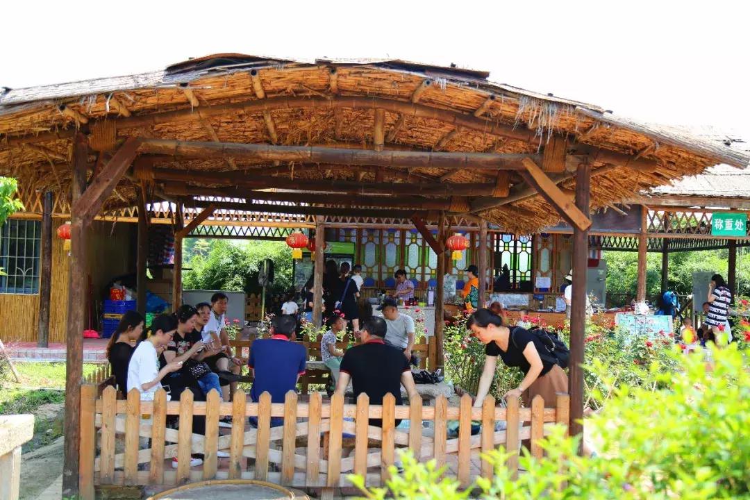 麻涌美食有什么老字号（东莞哪里的景区不收费又好玩又有停车位）