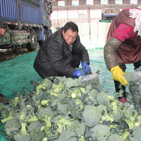 潍坊市菜篮子政策的长尾关键词有什么