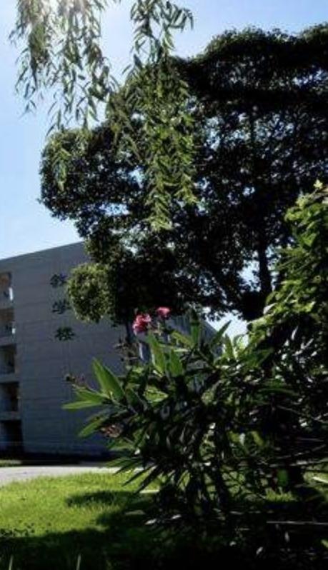 张琦教授：创新民办高职人才培养模式，提升人才培养质量