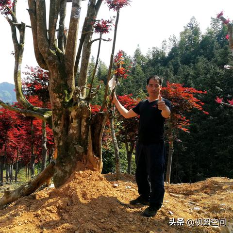 桂林站到全州南相关长尾关键词有哪些