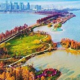 武汉市哪个公园最美