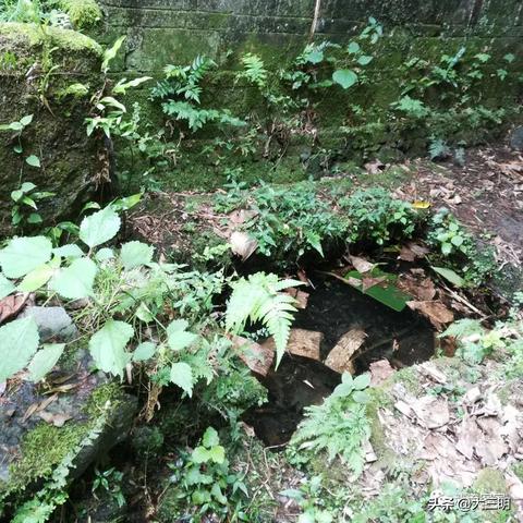 福州大学福建分数的相关长尾关键词有哪些