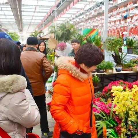 济南哪有花卉市场相关长尾关键词有哪些