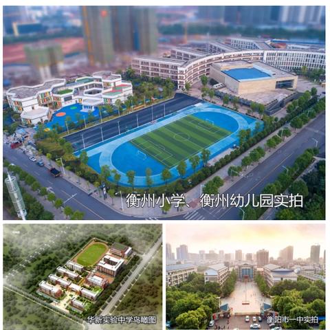 石家庄市华新小学官网的长尾关键词有什么