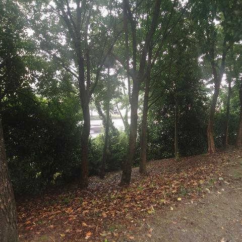 武汉市三环路是什么地方