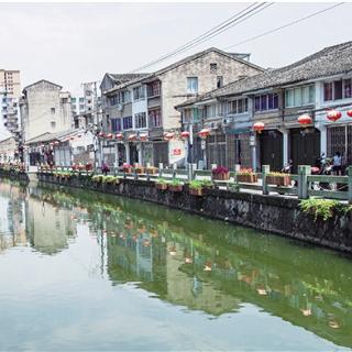 温州市埠头村是哪个镇的